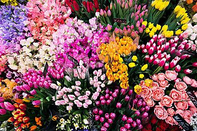 微软Xbox Live金会员2021年7月会免游戏公布